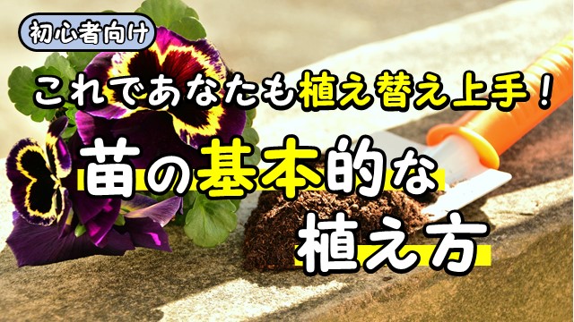 これであなたも植え替え上手！苗の基本的な植え方
