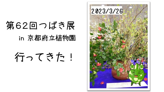 つばき展　行ってきた　京都府立植物園