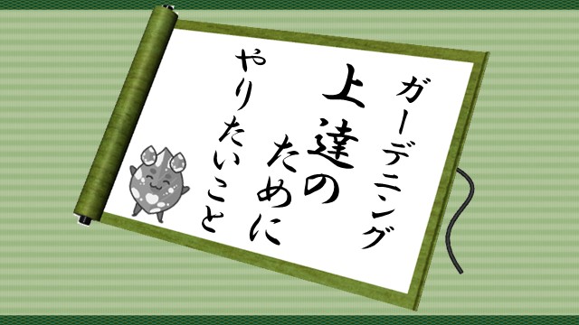 ガーデニング 上達のためにやりたいこと