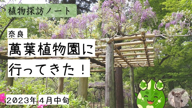 奈良　万葉植物園に行ってきた